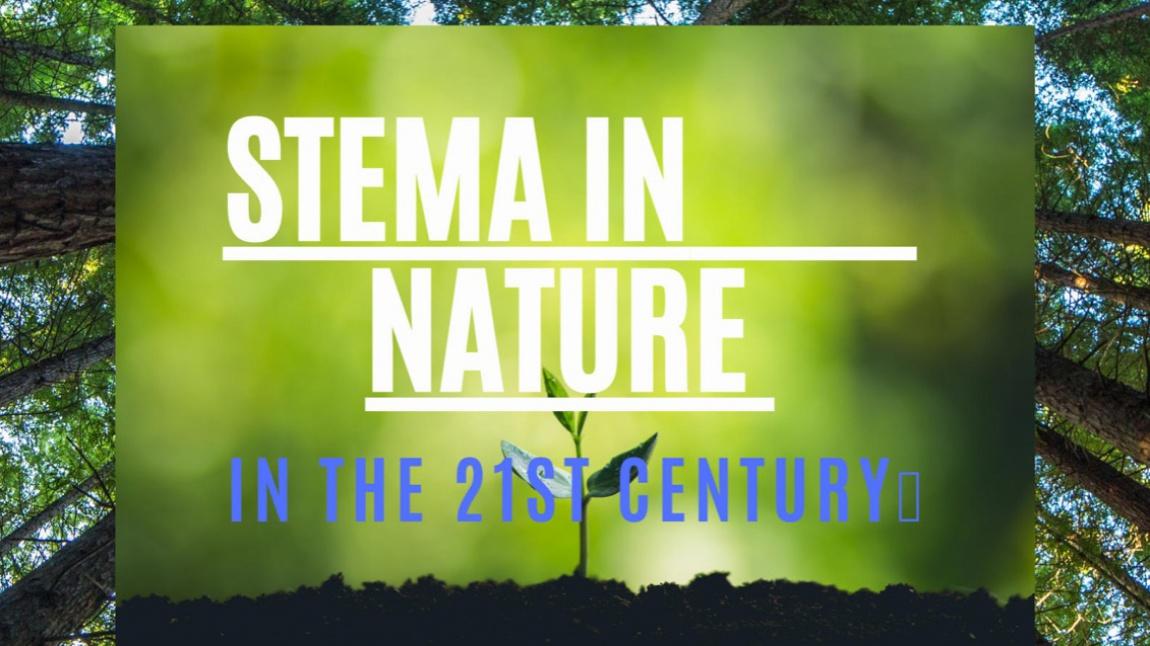 E Twinning Stema In Nature In The 21St Century Proje Afişimiz Seçildi